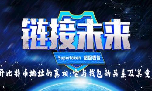  揭开比特币地址的真相：它与钱包的关系及其重要性